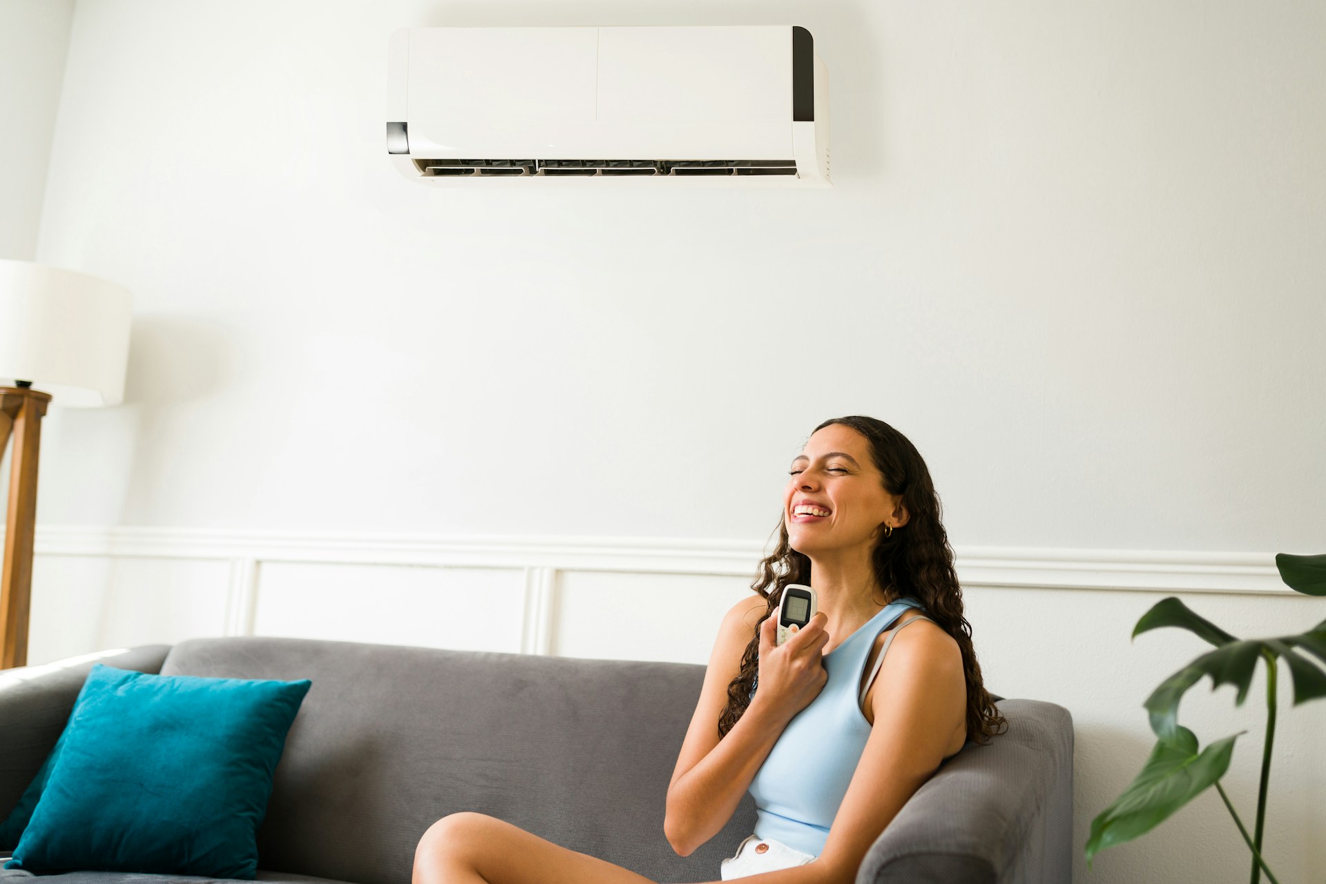 Ductless System Services